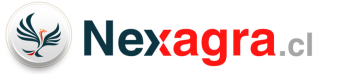 333666999-Nexagra.cl